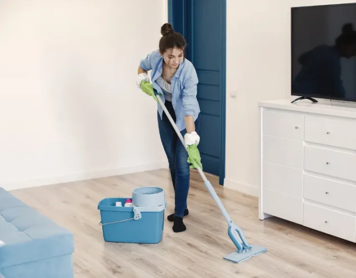 Femme de ménage Gensac-la-Pallue